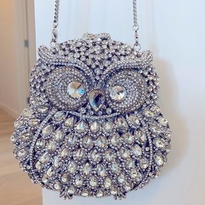 ⚡️SALE⚡️✨Gorgeous Crysral clutch ✨